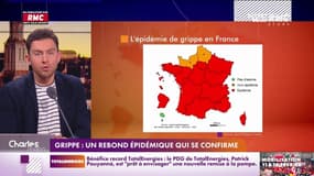 Grippe: un rebond épidémique qui se confirme