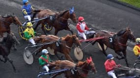 Les pronos hippiques du dimanche 18 février 2024