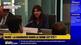 Baignade dans la Seine: "Il y a des silures mais ça ne mange pas les humains, donc tout va bien", plaisante Anne Hidalgo