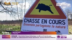 Faut-il interdire la chasse le dimanche? 82% des Français y sont favorables, d'après un sondage 
