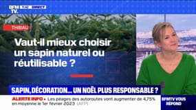 Noël: vaut-il mieux choisir un sapin naturel ou réutilisable? BFMTV répond à vos questions