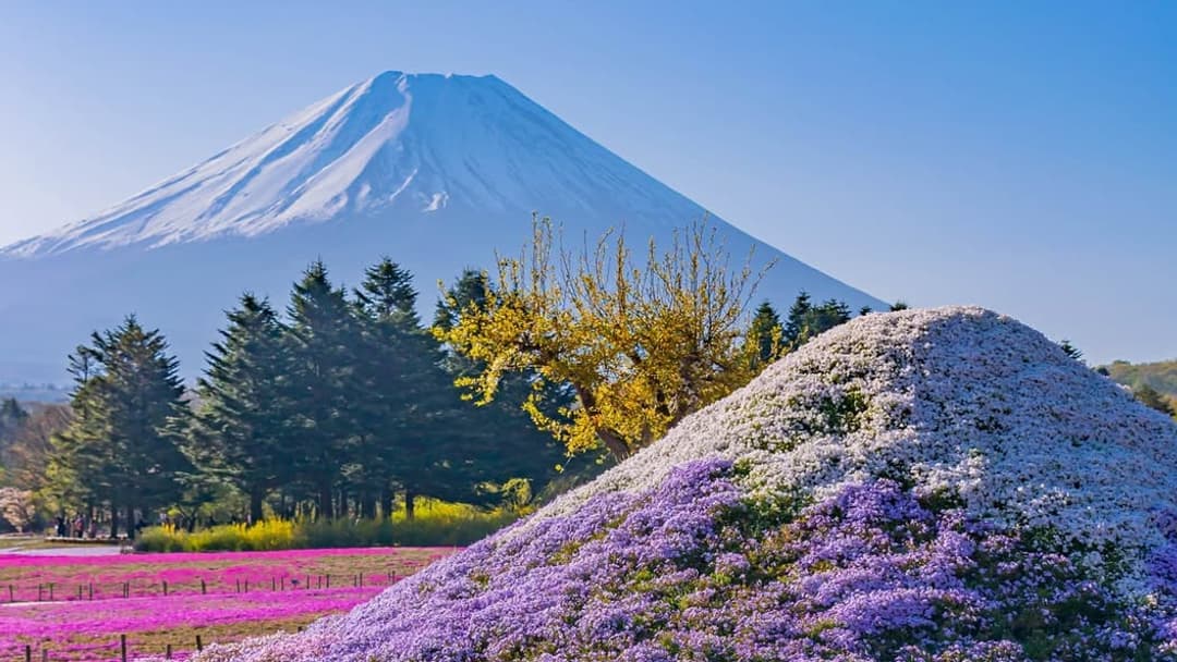 Le Mont Fuji, Japon 