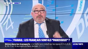 Travail : les Français sont-ils "paresseux" ?  - 30/01