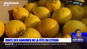 Menton: les agrumes de la Fête du citron vendus à bas prix