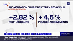 Provence-Alpes-Côte d'Azur: le prix des billets de TER va augmenter à partir du 1er avril