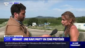 "Nos clôtures ont été assez endommagées": une agricultrice déplore l'afflux de fêtards à la rave-party dans l'Hérault