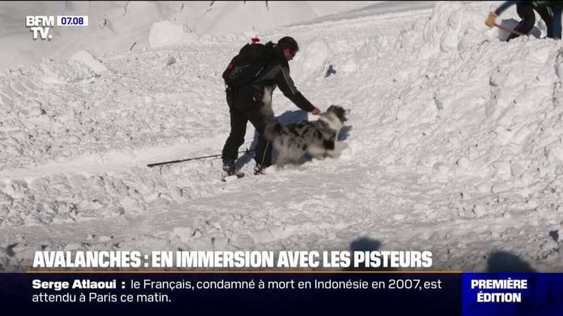 Avalanches: immersion avec les pisteurs en Savoie