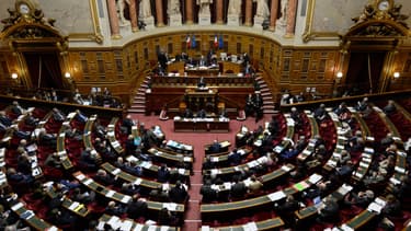 L'hémicycle du Sénat - AFP