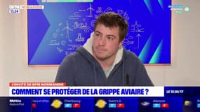 Y aura-t-il du foie gras normand pour les fêtes de fin d'année?