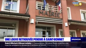 Hautes-Alpes: une louve tuée et pendue devant la mairie de Saint-Bonnet-en-Champsaur