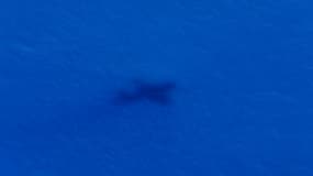 L'ombre d'un avion néo-zélandais survolant l'océan Indien à la recherche du vol MH370, disparu le 8 mars dernier.