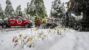 Des pompiers dégagent un arbre tombé sur une route dans les Alpes suisses le 17 avril 2025.
