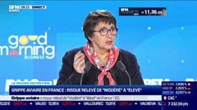 Grippe aviaire en France : risque relevé de modéré à élévé