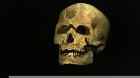 Le crâne de Cro-Magnon, star du musée de l'Homme