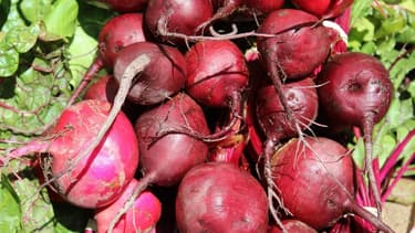 Les producteurs donnent une première estimation à 43,8 millions de tonnes