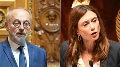 Montage de Joël Guerriau au Sénat le 2 mai 2022 et Sandrine Josso à l'Assemblée nationale le 12 octobre 2023 