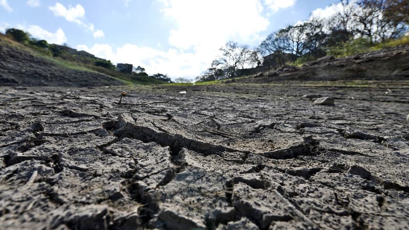 Les effets d'El Nino au Honduras le 10 mars 2019
