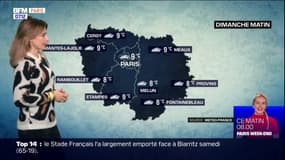 Météo Paris-Île-de-France: quelques précipitations avant des éclaircies, jusqu'à 13°C à Paris 