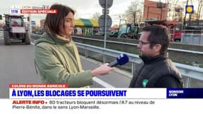 Colère des agriculteurs: le président de la FDSEA du Rhône dénonce le "manque de solutions" face à l'interdiction des produits phytosanitaires