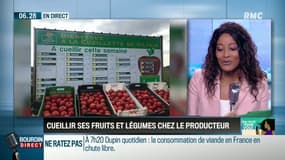 "J'ai teste": cueillir ses fruits et légumes chez le producteur