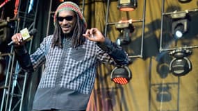 Snoop Dogg a été arrêté brièvement par la police suédoise, qui le soupçonnait d'avoir consommé des stupéfiants.