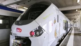 1.300 quais de gares sur les 8.700 que compte le réseau français sont inadaptées aux nouveaux TER.