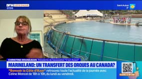 marineland : transfert au canada ? 