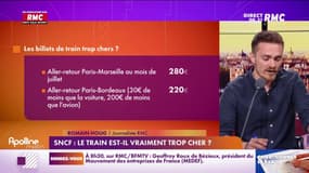 SNCF: le train est-il trop cher ? 
