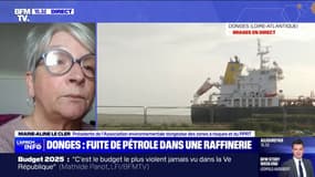 Fuite de pétrole dans la Loire: "Depuis déjà pas mal de temps, les fuites se suivent à un rythme de plus en plus fréquent", s'inquiète Marie-Aline Le Cler (PPRT)