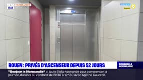 Rouen: des habitants privés d'ascenseur depuis 52 jours
