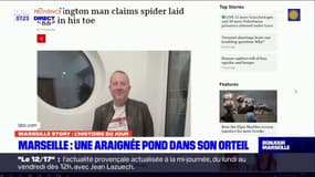 Marseille Story: un touriste anglais affirme qu'une araignée a pondu dans son orteil