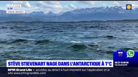 Stève Stievenart nage dans l'Antarctique à 1°C