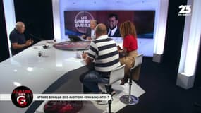 Affaire Benalla : "Dans une manif, taper sur un gauchiste c’est une tradition !"