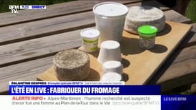 En Haute-Savoie, une ferme propose à ses visiteurs d'apprendre à faire du fromage