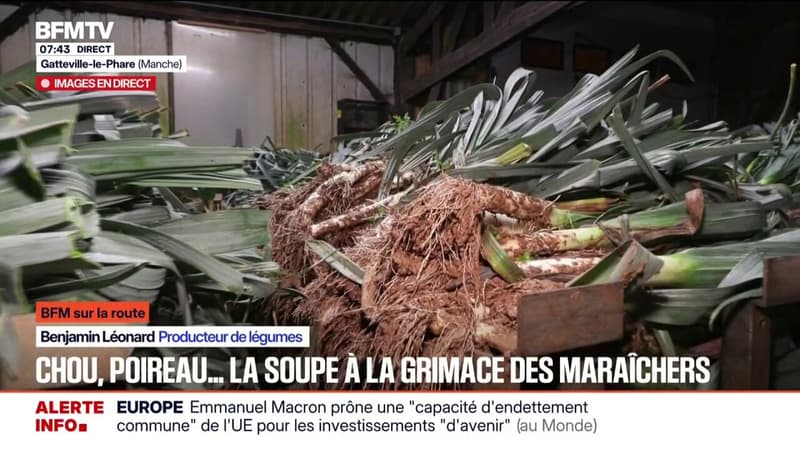 BFM SUR LA ROUTE - "On travaille à perte": les maraîchers font la soupe à la grimace face aux prix du chou et du poireau en baisse