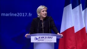 Marine Le Pen en meeting à Lyon, le 5 février 2017.