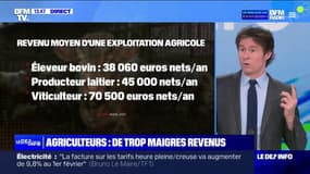 Un agriculteur sur cinq en France ont un deuxième emploi pour arrondir leurs fins de mois, à cause de revenus trop bas