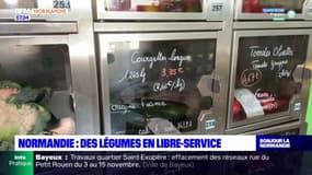 Les distributeurs de légumes en libre-service se multiplient à travers la Normandie