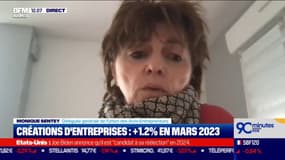 Monique Sentey (Union des Auto-Entrepreneurs): "Les Français veulent exercer leur travail d'une autre manière"
