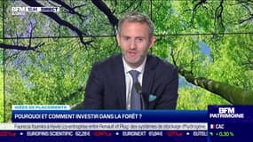 Pourquoi et comment investir dans la forêt ?