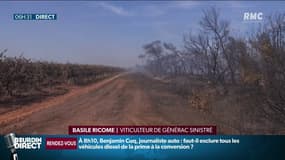  "On a perdu 25% de la récolte", l'heure est au bilan après l’incendie dans le Gard
