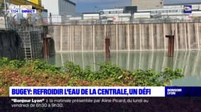 Ain: refroidir l'eau de la centrale nucléaire du Bugey, un véritable défi