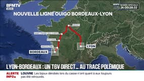 La SNCF va lancer une nouvelle liaison Ouigo entre Lyon et Bordeaux, mais le tracé fait polémique