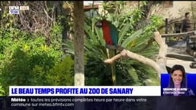 Var: le week-end de Pâques a profité au zoo de Sanary-sur-Mer