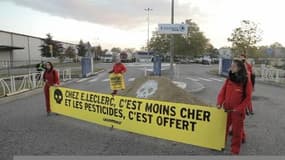 Greenpeace part en guerre contre la grande distribution