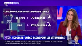 LE ZOOM ÉCOGESTE - Vers un éco-score pour les vêtements ?