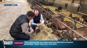 "C’est beaucoup plus de travail au niveau du sol ": le parcours compliqué des agriculteurs pour se convertir au bio