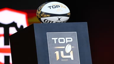 Le logo du Top 14 en juin 2025