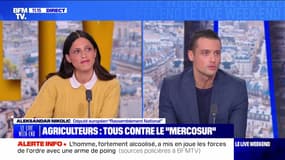 Agriculture : Macron face au défi argentin  - 17/11