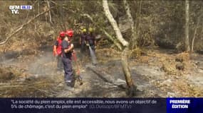 En Gironde, les pompiers traquent les braises cachées sous terre